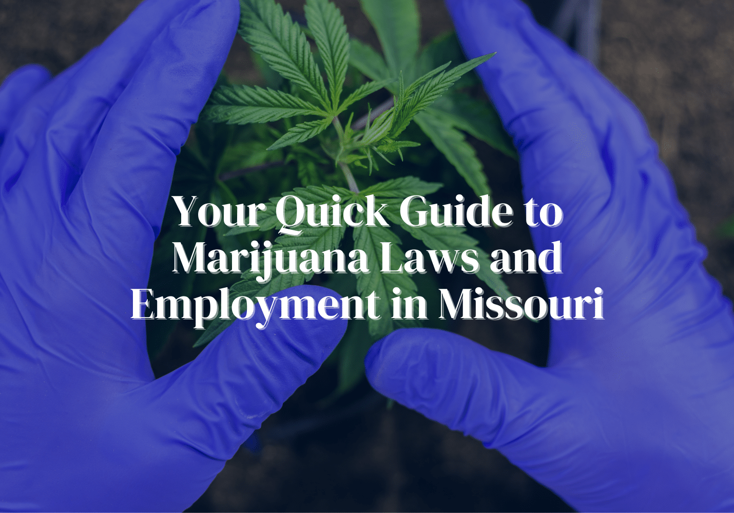 Missouri Marijuana Legalization and Employers PEG Staffing